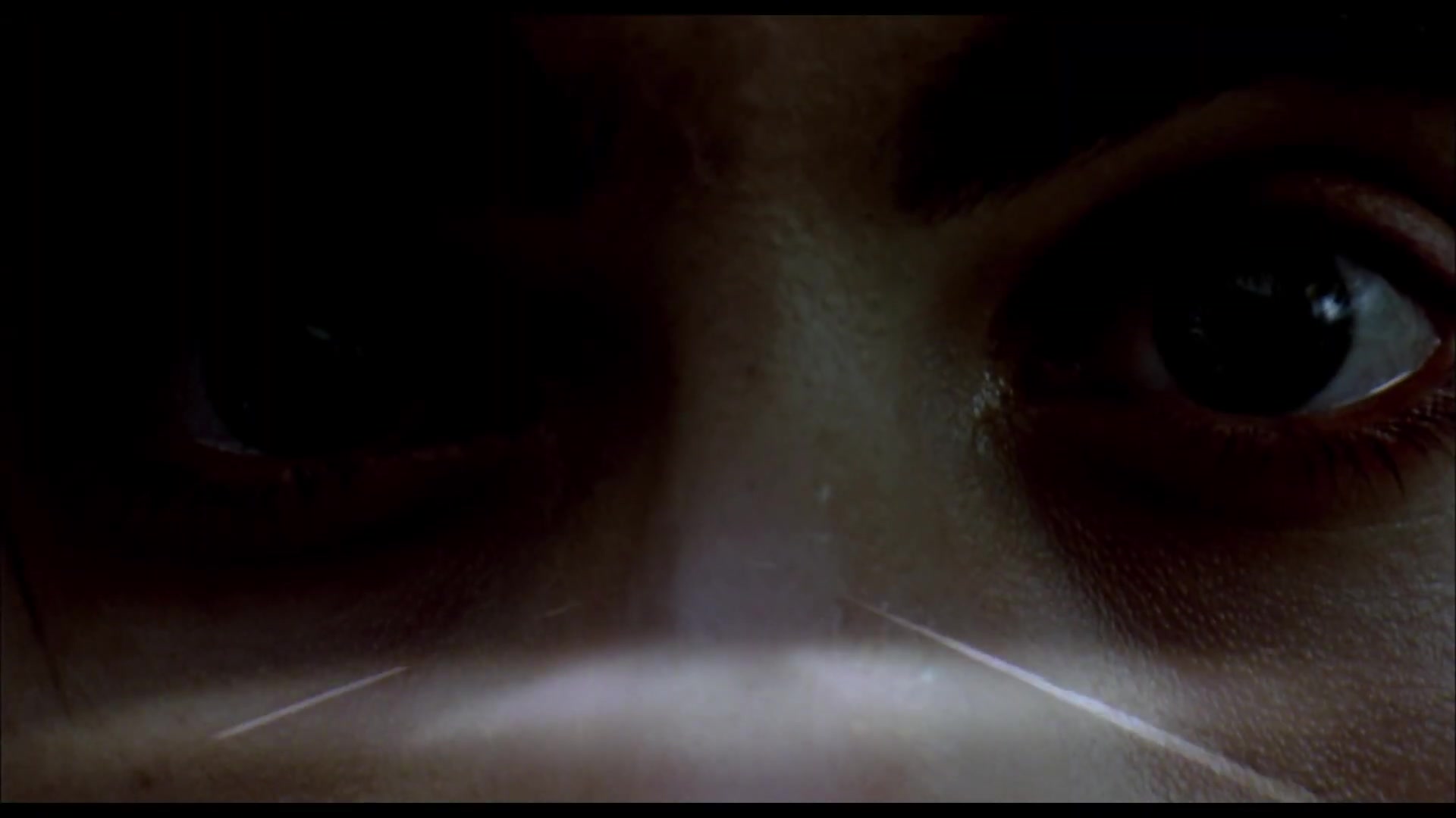 Spun Trailer  